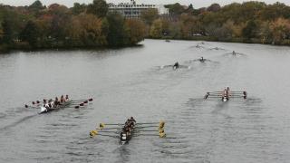 Several rowing eights racing along a wide tree-lined river, each crew pulling in unison.
