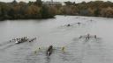 Several rowing eights racing along a wide tree-lined river, each crew pulling in unison.