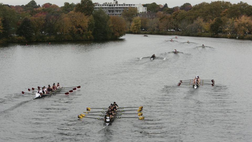 Several rowing eights racing along a wide tree-lined river, each crew pulling in unison.