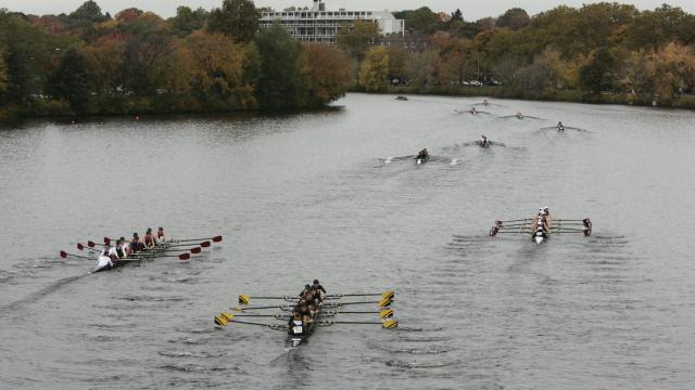 Several rowing eights racing along a wide tree-lined river, each crew pulling in unison.